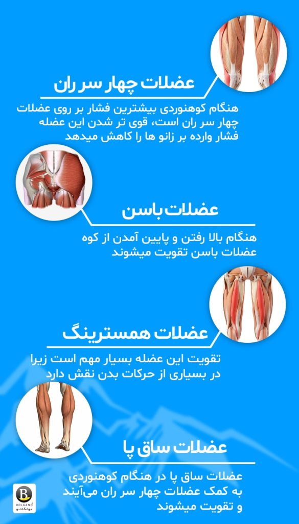 فایده کوهنوردی برای عضلات پا