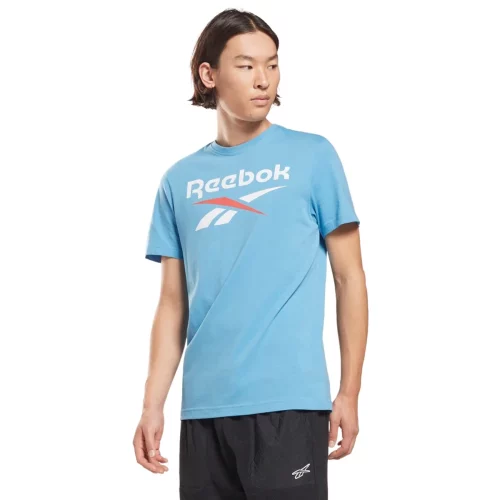 تیشرت اسپرت مردانه ریباک مدل Reebok RI BIG LOGO TEE HD4217