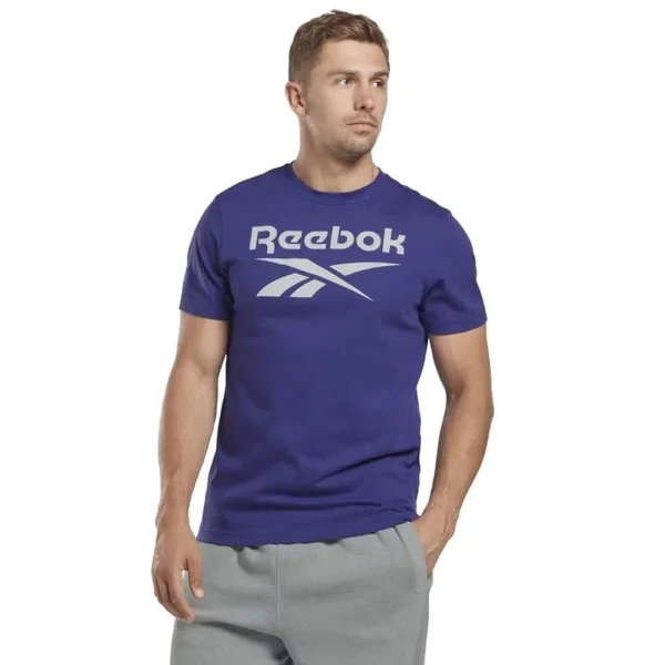 تیشرت اسپرت مردانه ریباک مدل Reebok RI BIG LOGO TEE HI0660