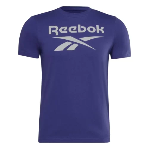 تیشرت اسپرت مردانه ریباک مدل Reebok RI BIG LOGO TEE HI0660