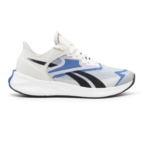 کفش مردانه ریباک مدل Reebok floatride energy symmetro gz1426