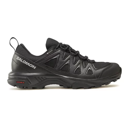 کفش مردانه سالومون مدل Salomon X Braze Gtx L47180400